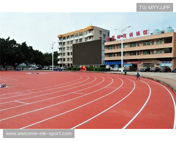 体育新闻中心构建新时代运动传播体系，体育新闻专题报道