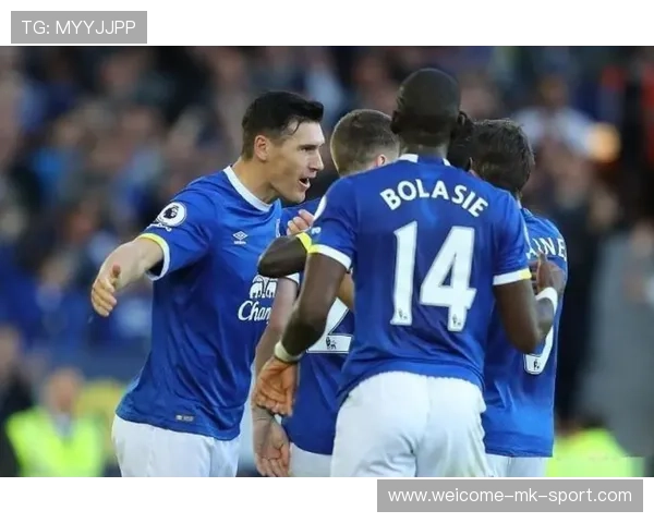 深度解析：英超豪门财政公平法案的挑战，英超豪门是什么意思