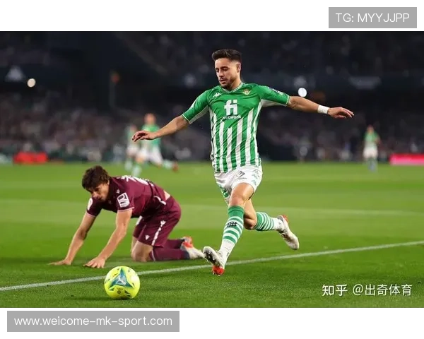 体育赛事伤病数据统计与研究